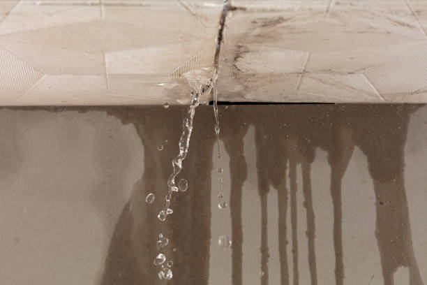 Professional Structural Drying technician working in Gratis, OH
